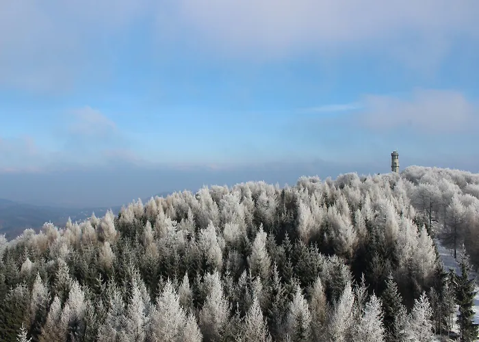 بيت ضيافة Hochwaldbaude